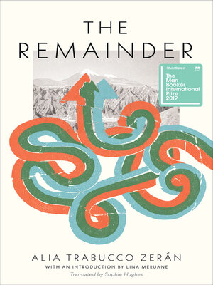 cover image of The Remainder